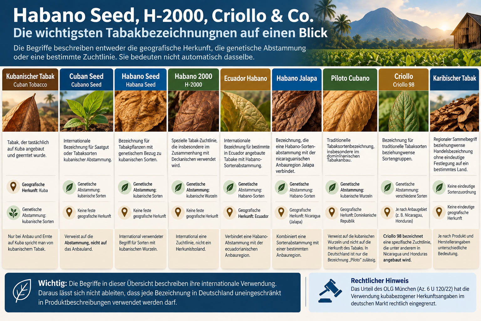 Infografik: Habano Seed, H-2000, Criollo und weitere Tabakbezeichnungen im Überblick